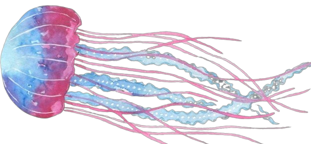 jellyfish watercolor painting