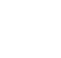 no AI logo