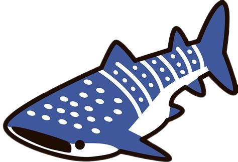 whale shark drawing